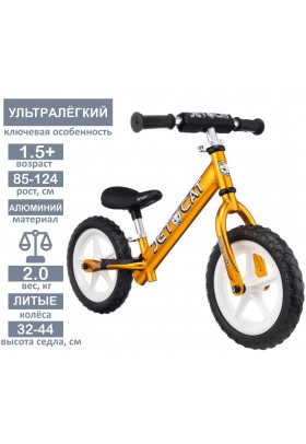 Беговел - JETCAT - 12 Sport - SLT - EVA - White Series - Gold (золотой)